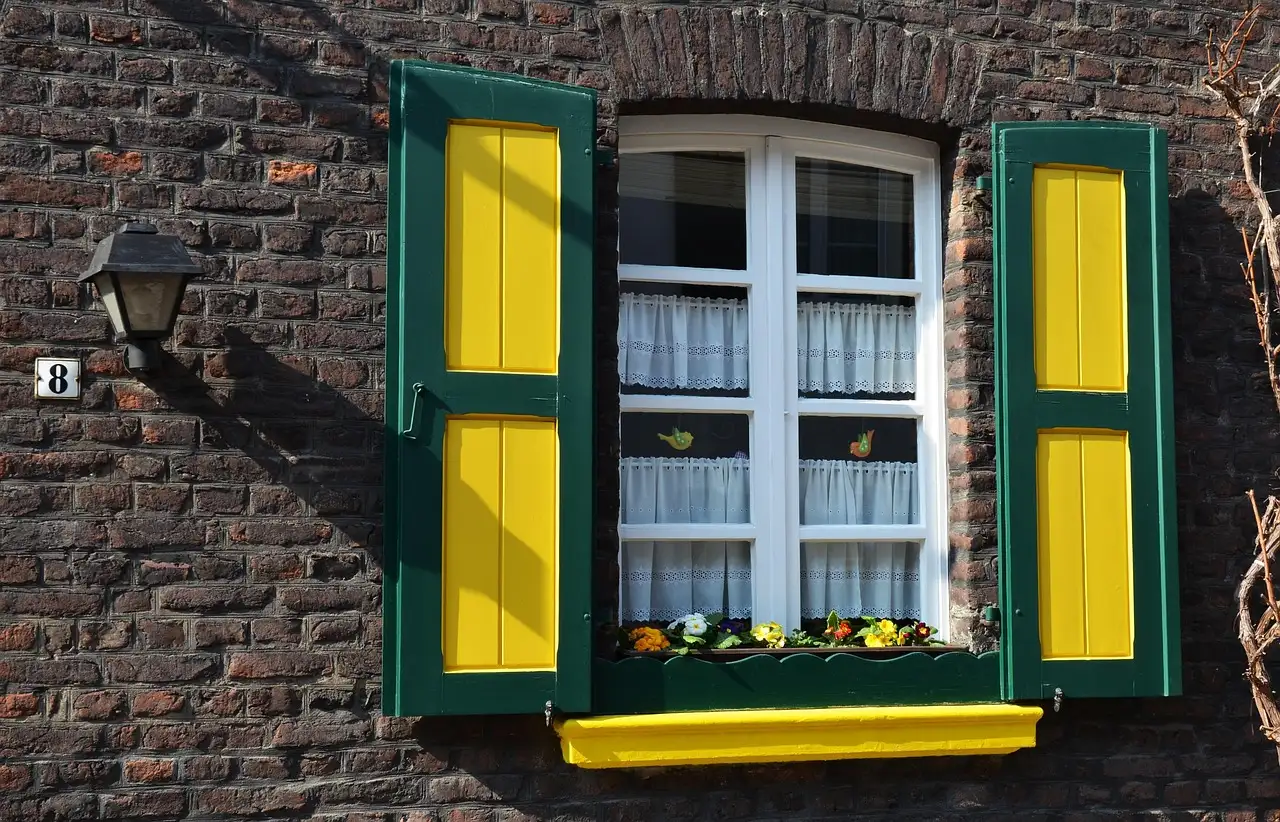 Ideale standplaats voor de steenanjer: zon of halfschaduw?