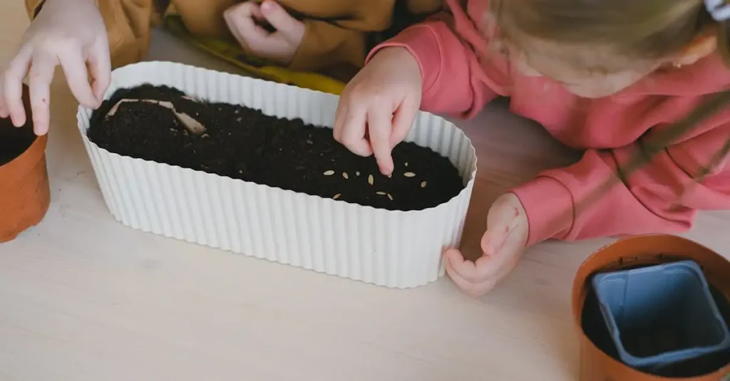 Struikmalva (Lavatera thuringiaca) in potten kweken?