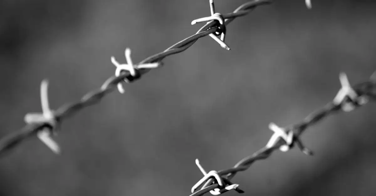 Afstand tussen borders en zitplekken voor onderhoudsgemak