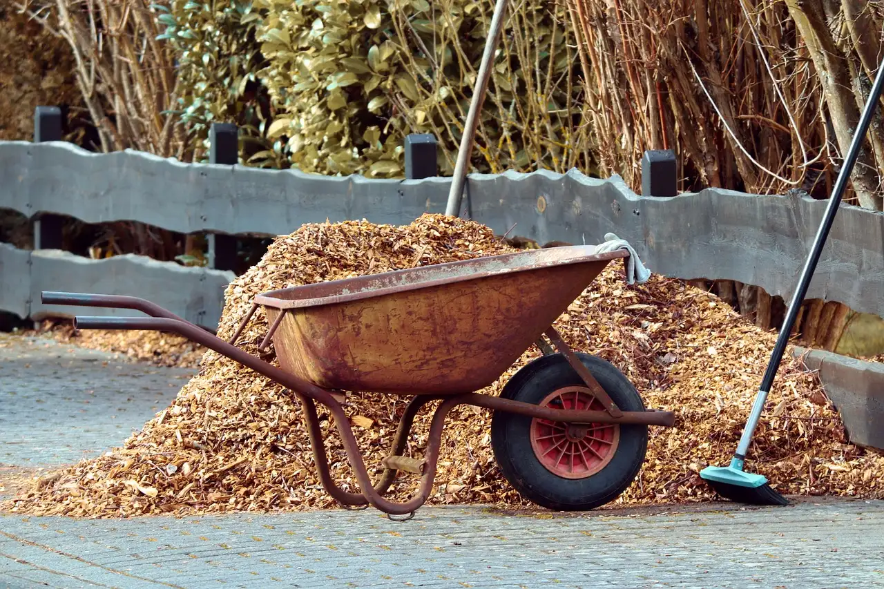 Agastache in de winter: afdekken met mulch of niet?