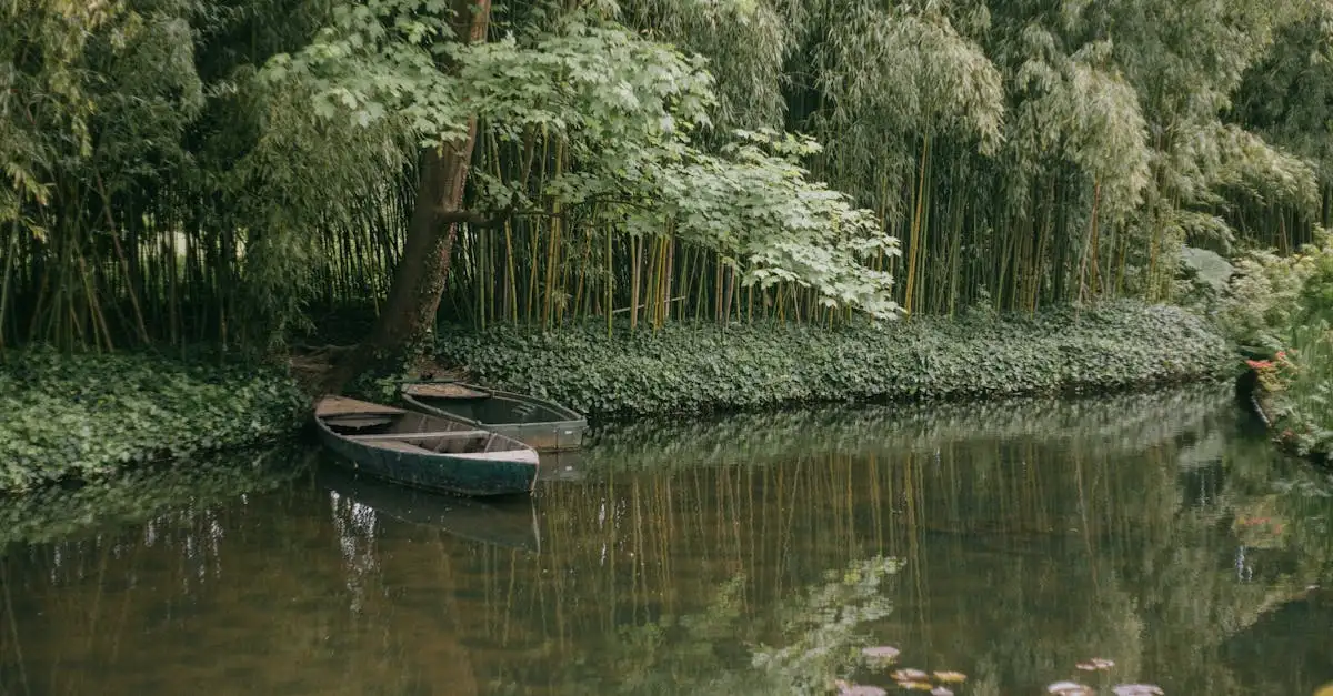 De Beste Siergrassen en Bamboe voor Jouw Tuin Kiezen (2026)