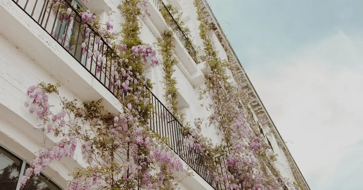 Hoe Herken Je Vorstschade aan Wisteria Blauweregen (2026)