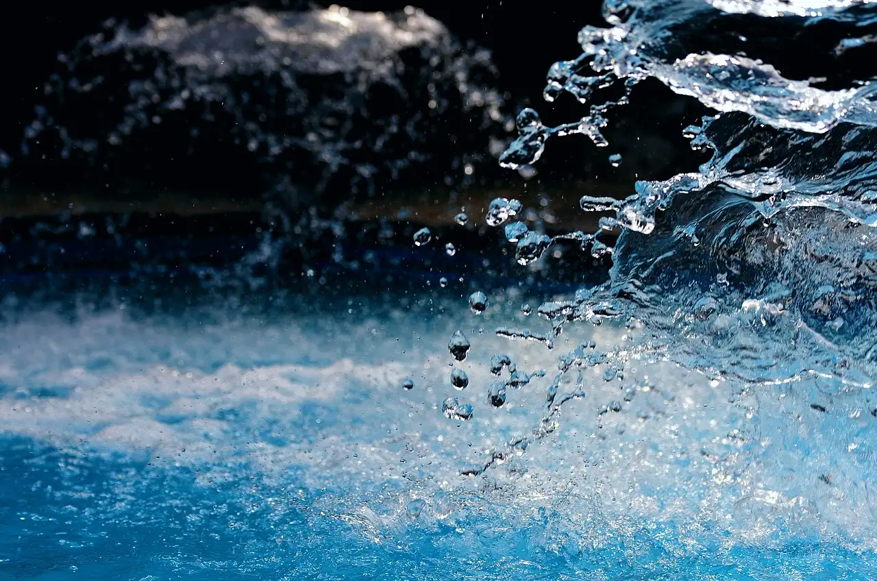 Hoe vaak water geven aan de daglelie in de zomer?