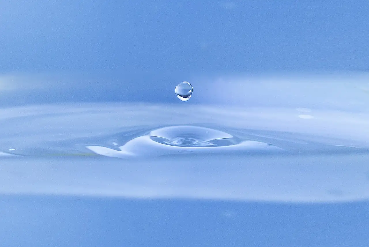 Hoe vaak water geven aan de passiebloem in de zomer?