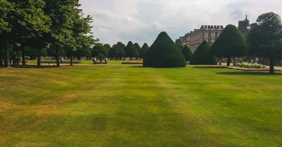Hulst voor topiary: tips voor succesvolle vormsnoei