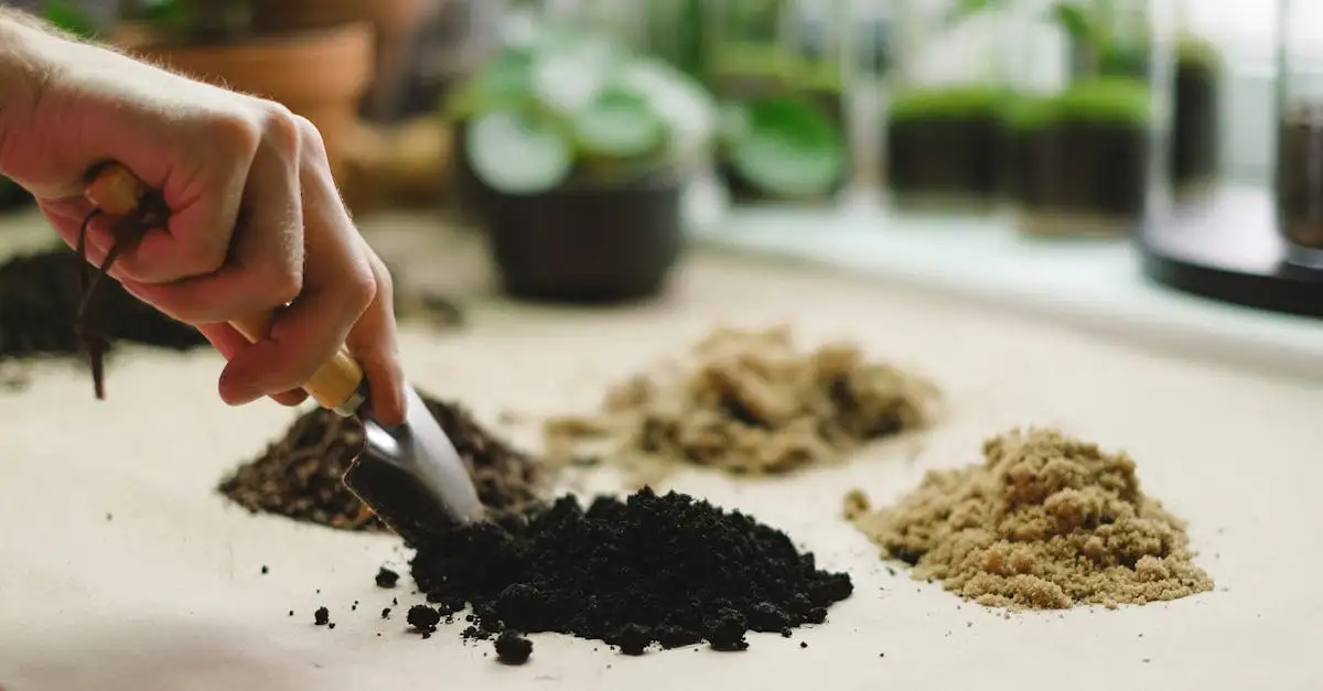 Ideale grondsoort voor de verenpapaver: voedingstips