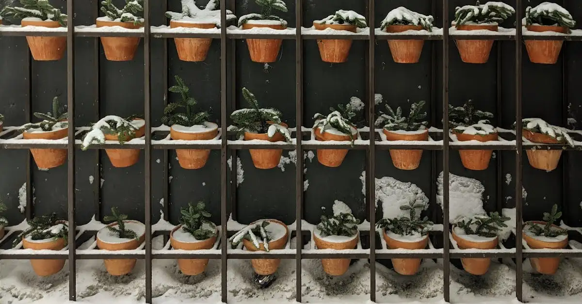 Is Asgrauwe Ooievaarsbek Geschikt voor Potten in de Winter (2026)