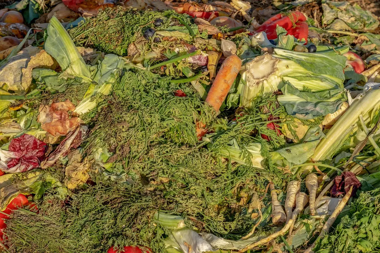 Is compost genoeg voor de herfstkrokus (Crocus speciosus)?