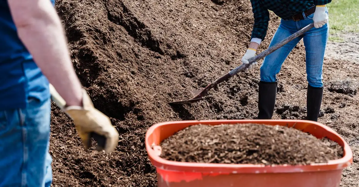 Is compost genoeg voor de teunisbloem in natuurlijke tuinen?