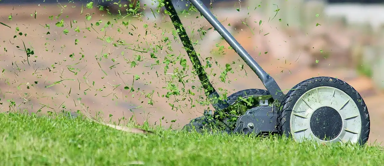 Is maaien nodig om grote weegbree in toom te houden?