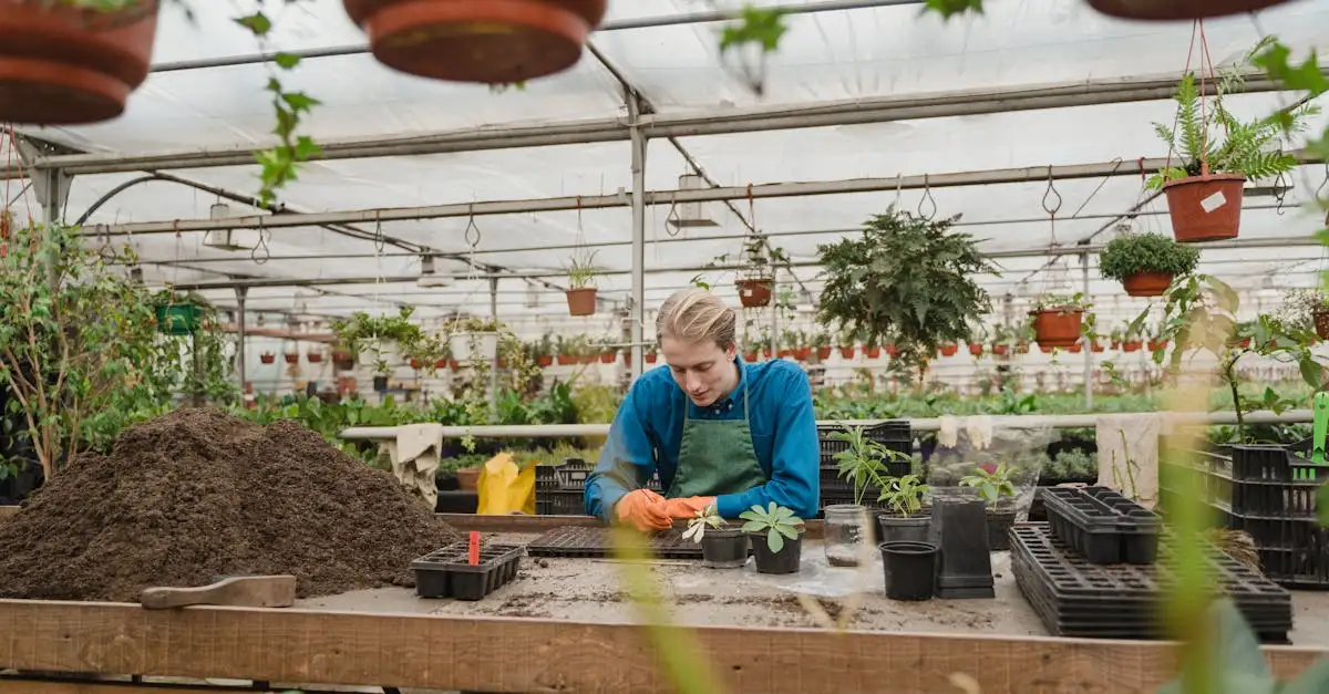 Kan bolpapaver goed groeien in potgrond? Ontdek het hier!