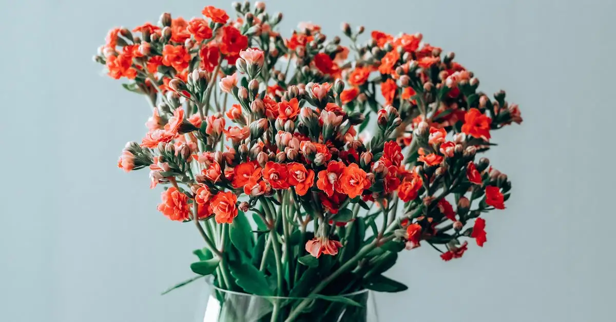 Kan kalanchoë bloeien bij voldoende licht? Ontdek het nu!