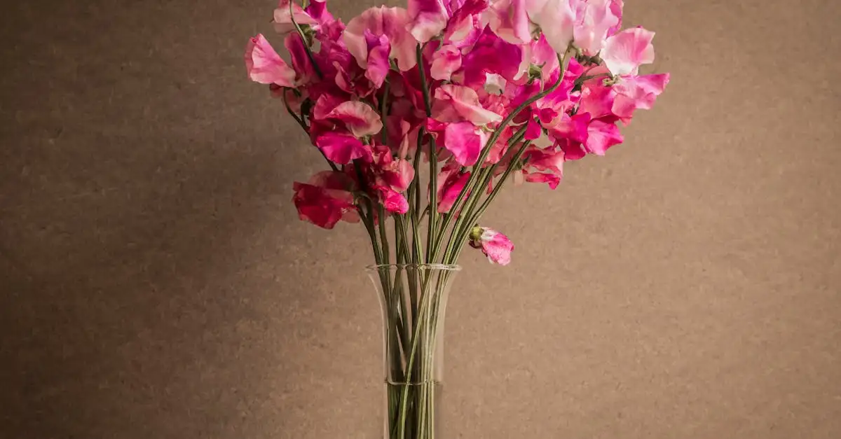 Lathyrus Siererwt Decoratieve Klimhulpen voor een Fraai Effect (2026)