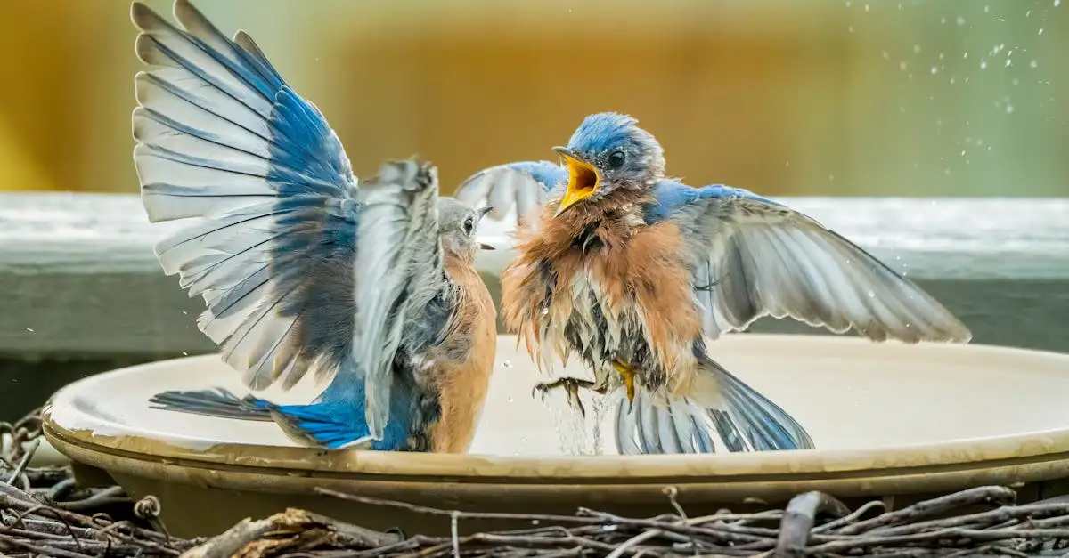 Mooie combinaties van een vogelbad en beeldjes voor je tuin