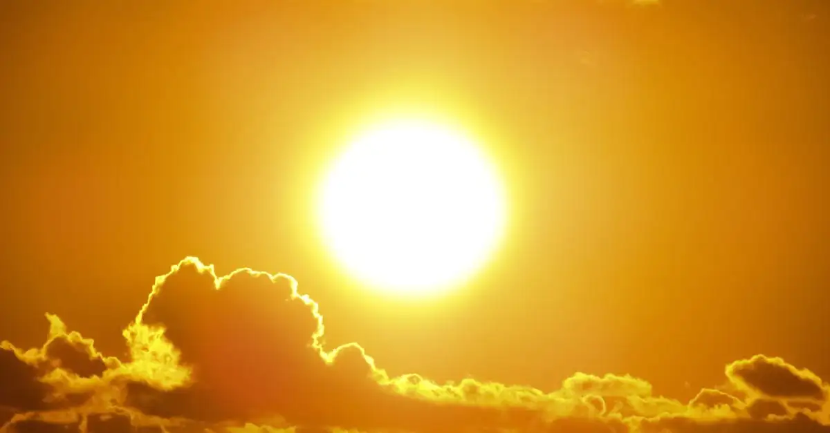 Plagen die aloë (Aloe vera) aantasten bij warm weer