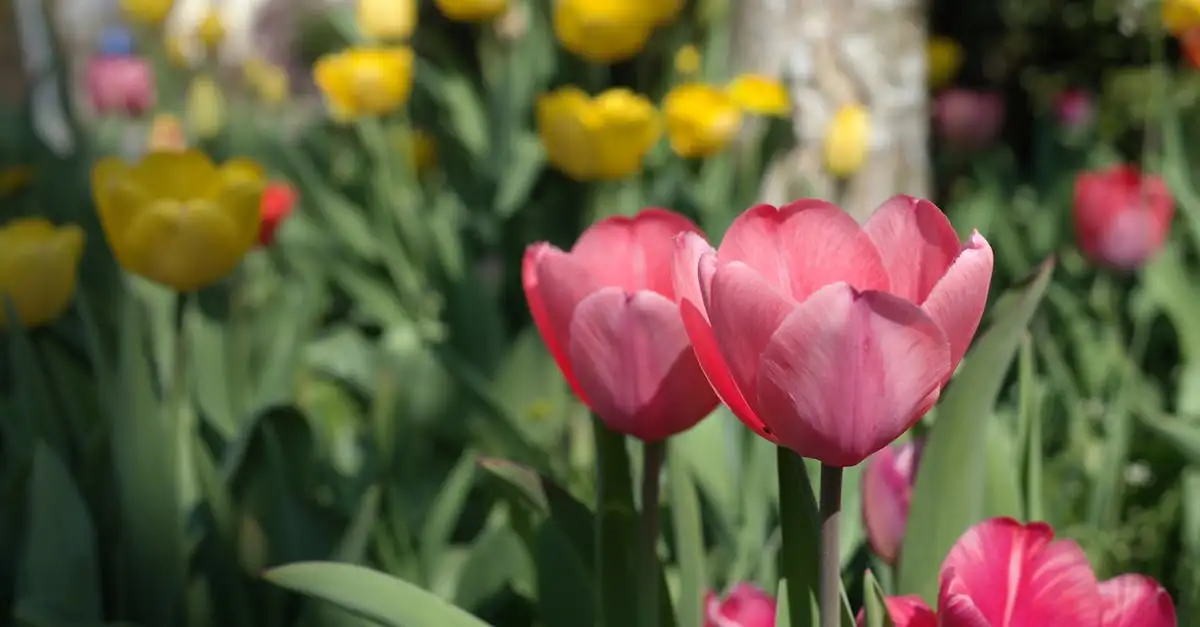 Sierpotten combineren met beelden en spiegels in de tuin
