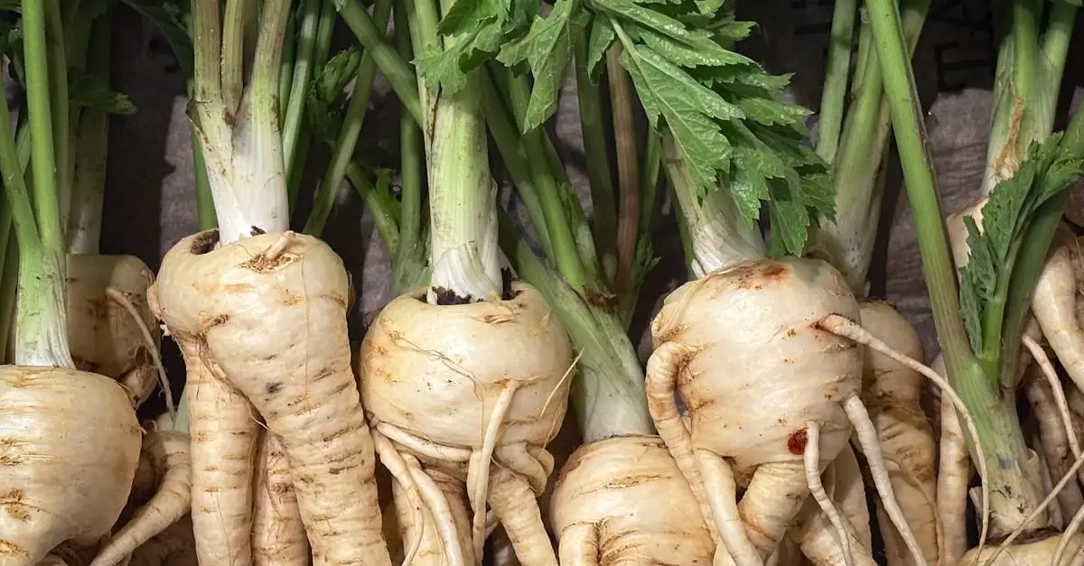 Veelvoorkomende Ziekten Bij Pastinaak Pastinaca Sativa (2026)
