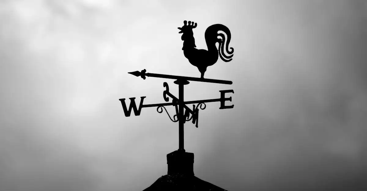 Wat Is het Verschil Tussen een Windvaan en een Windwijzer (2026)