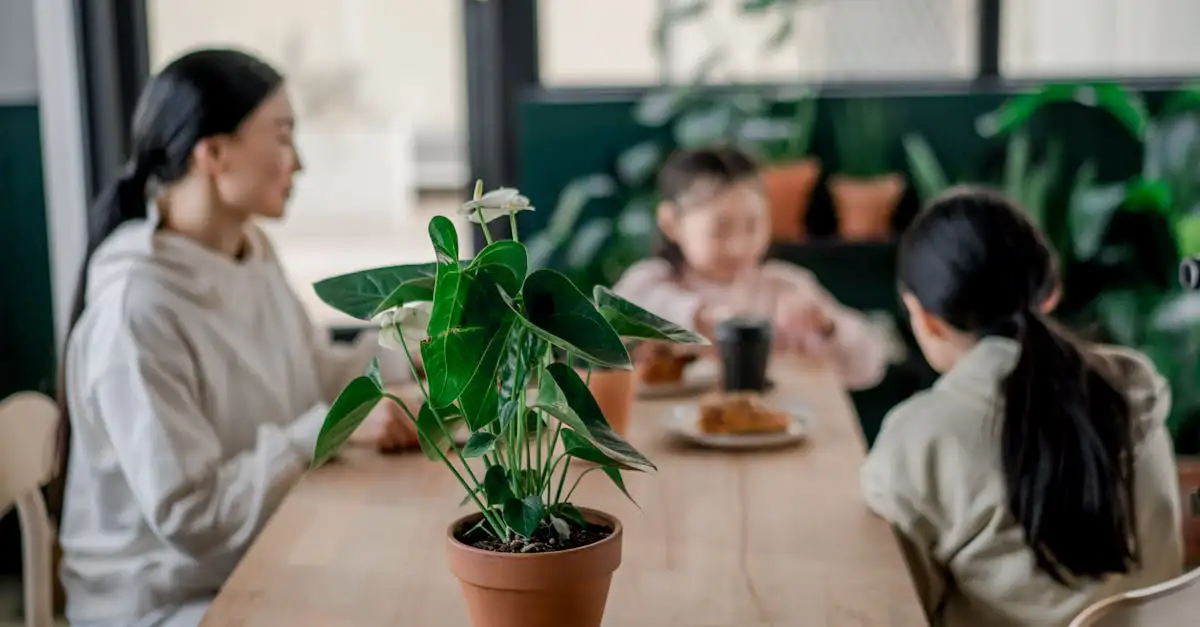 Welke winterharde Anthurium past het beste in huis?